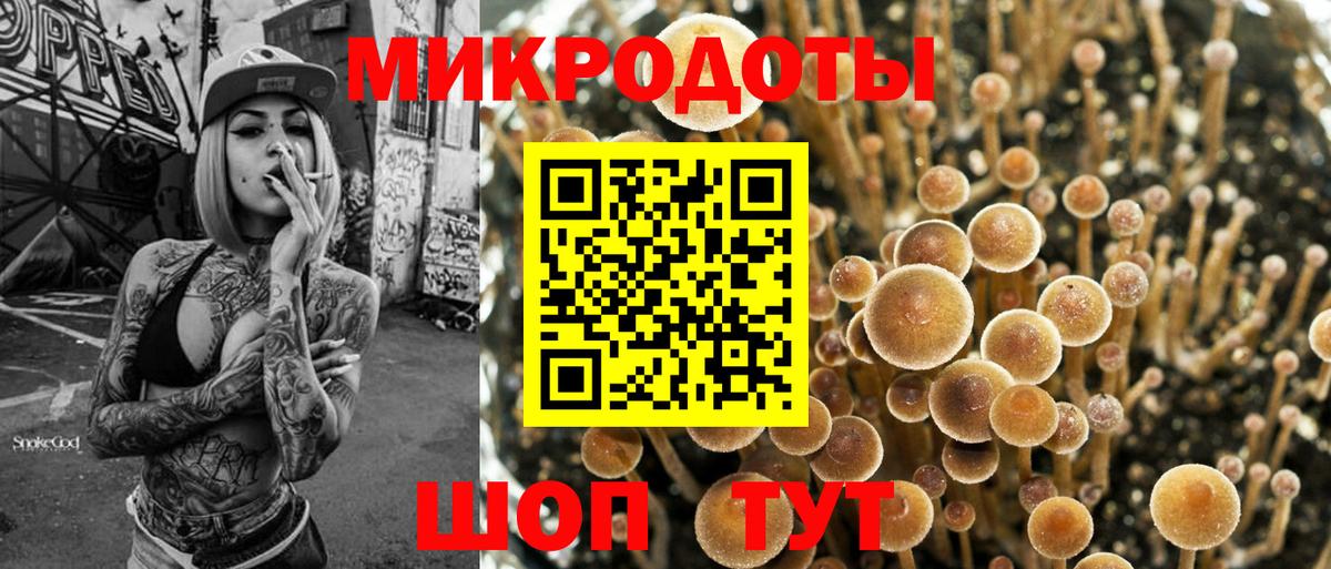 Галлюциногенные грибы Psilocybine cubensis  Вход с VPN  Ефремов  Галлюциногенные грибы Cubensis 